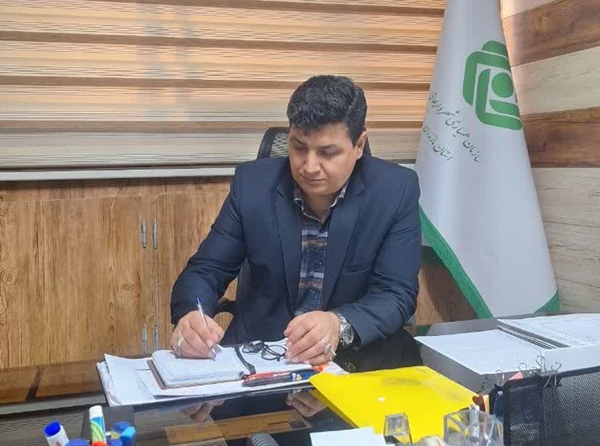 چارت سازمانی - مدیر صدورپروانه